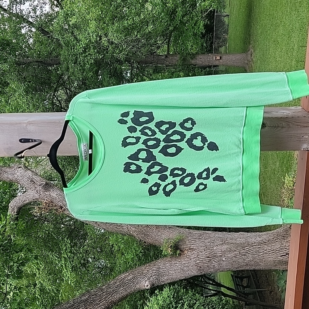 Wildfox Sweatshirt 💚